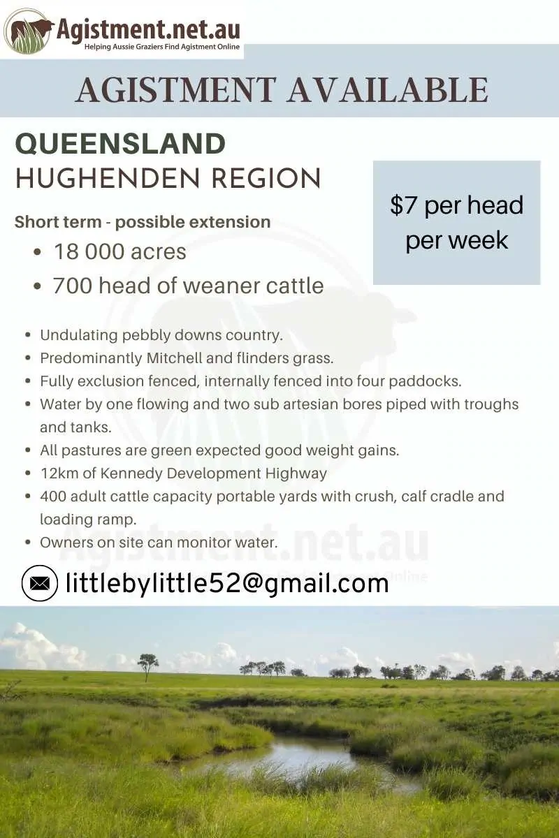 Short term agistment available Hughenden QLD
